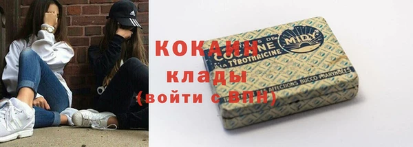 шишки Бронницы