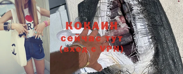 шишки Бронницы