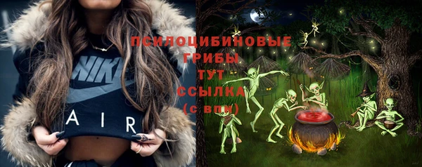 кристаллы Бородино