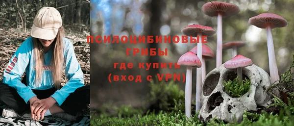 прущий лед Богородицк