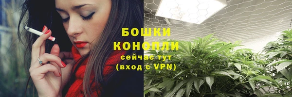 не бодяженный Богданович